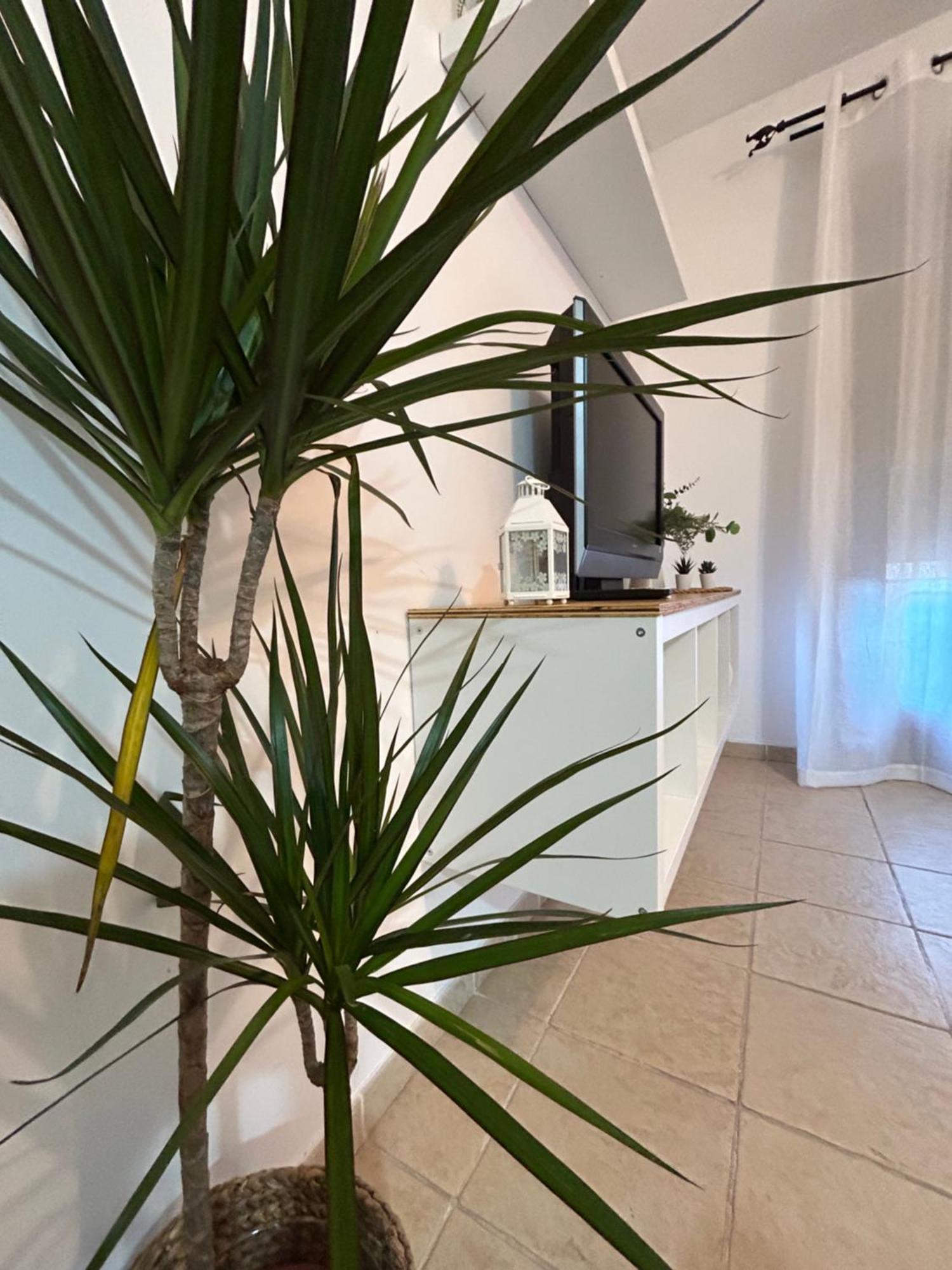 Rual Amanecer Apartment Ронда Екстериор снимка